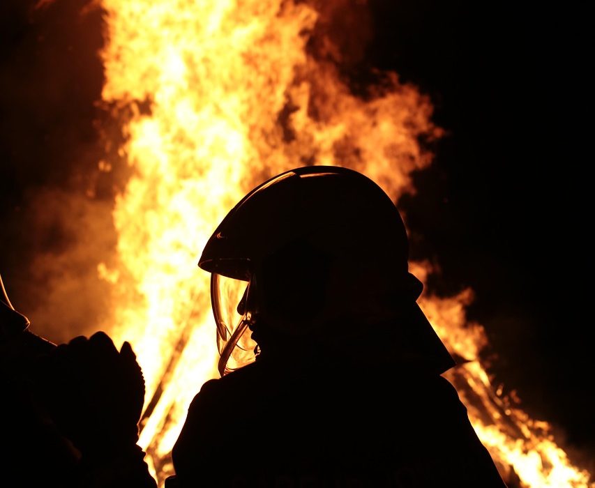 Upaya Dinas Damkar Batam Hapus Sarang Tawon di Gedung DPRD
