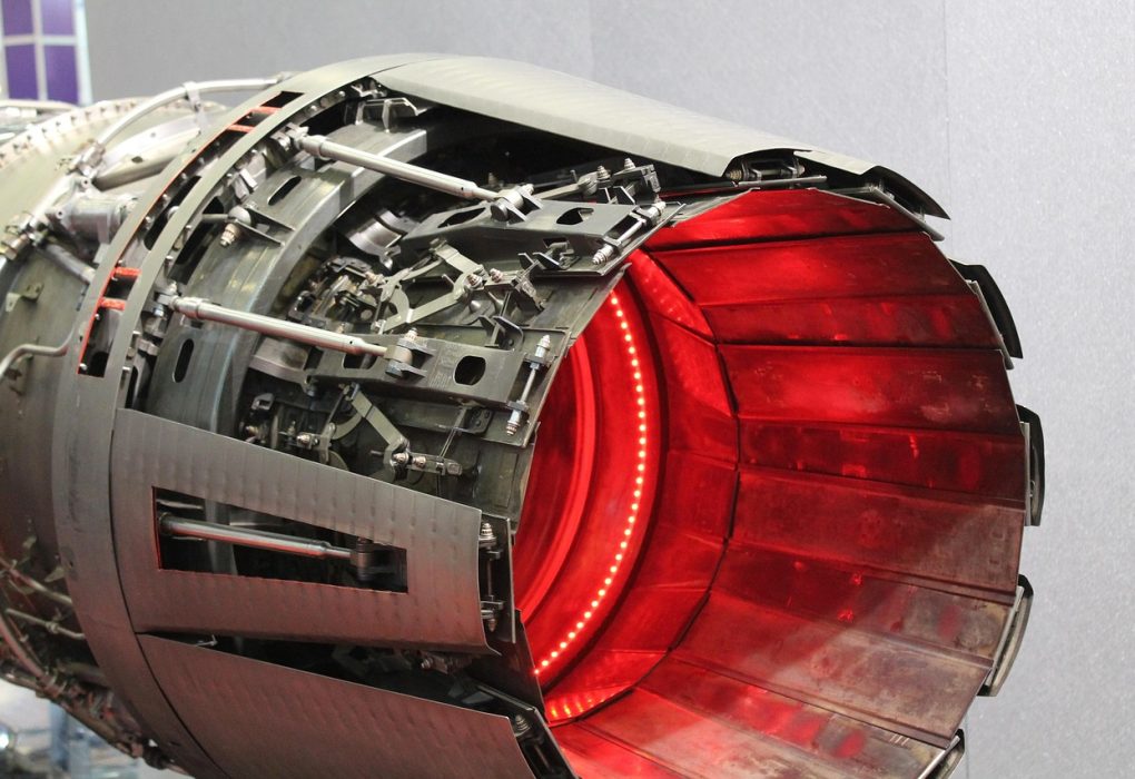 Dinas Damkar Batam Pimpin Pembersihan Sarang Tawon di Gedung DPRD