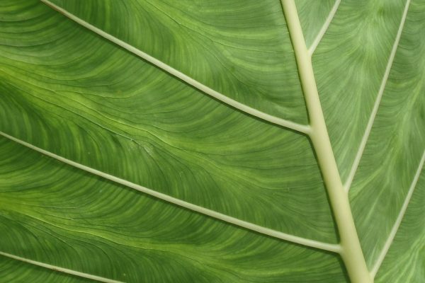 Fasilitasi Dinas Damkar Batam untuk Warga Terkait Pencegahan Kebakaran