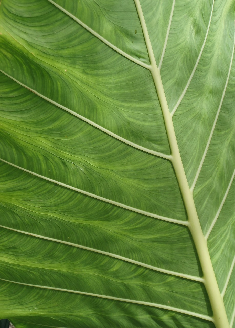 Fasilitasi Dinas Damkar Batam untuk Warga Terkait Pencegahan Kebakaran